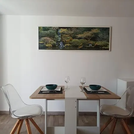 Apartment Superbe Clim Jardin